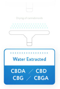 CBD Solubility In Water | Blog - Essentia Scientific